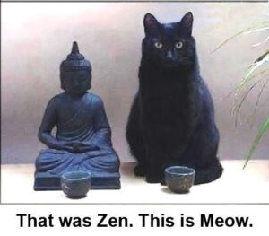 That was Zen. This is Meow.